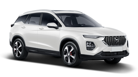 Haima 8s БЕЛЫЙ / AURORA WHITE
